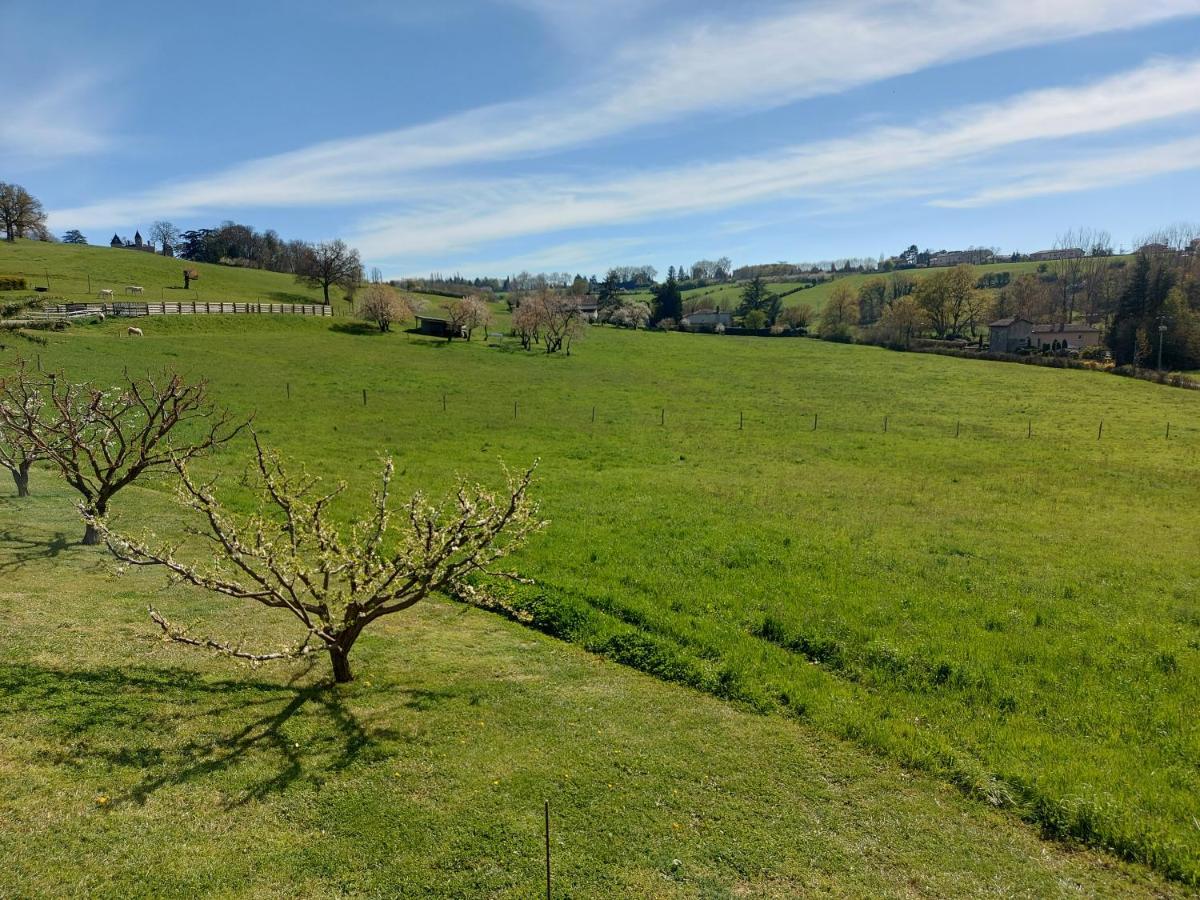 Gite Stone&Spa Chasselay Exterior foto